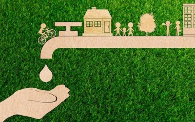 Water Conservation: Tips for a Sustainable Future