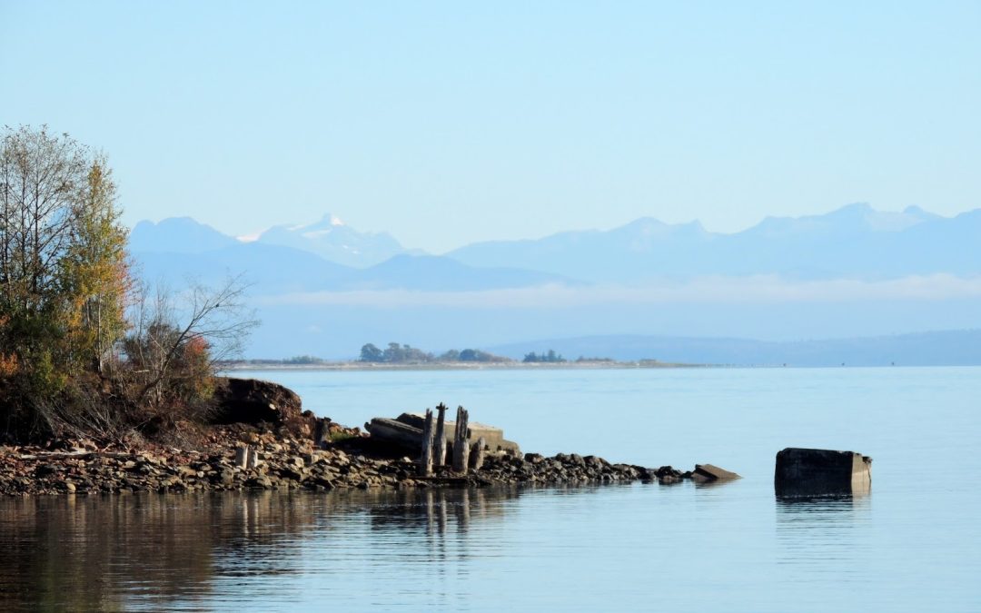 Reasons to Invest in Waterfront Properties in the Comox Valley