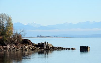 Reasons to Invest in Waterfront Properties in the Comox Valley